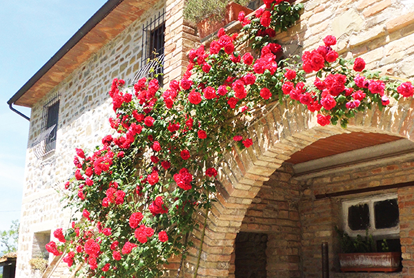 Casale del Colle | La nostra struttura